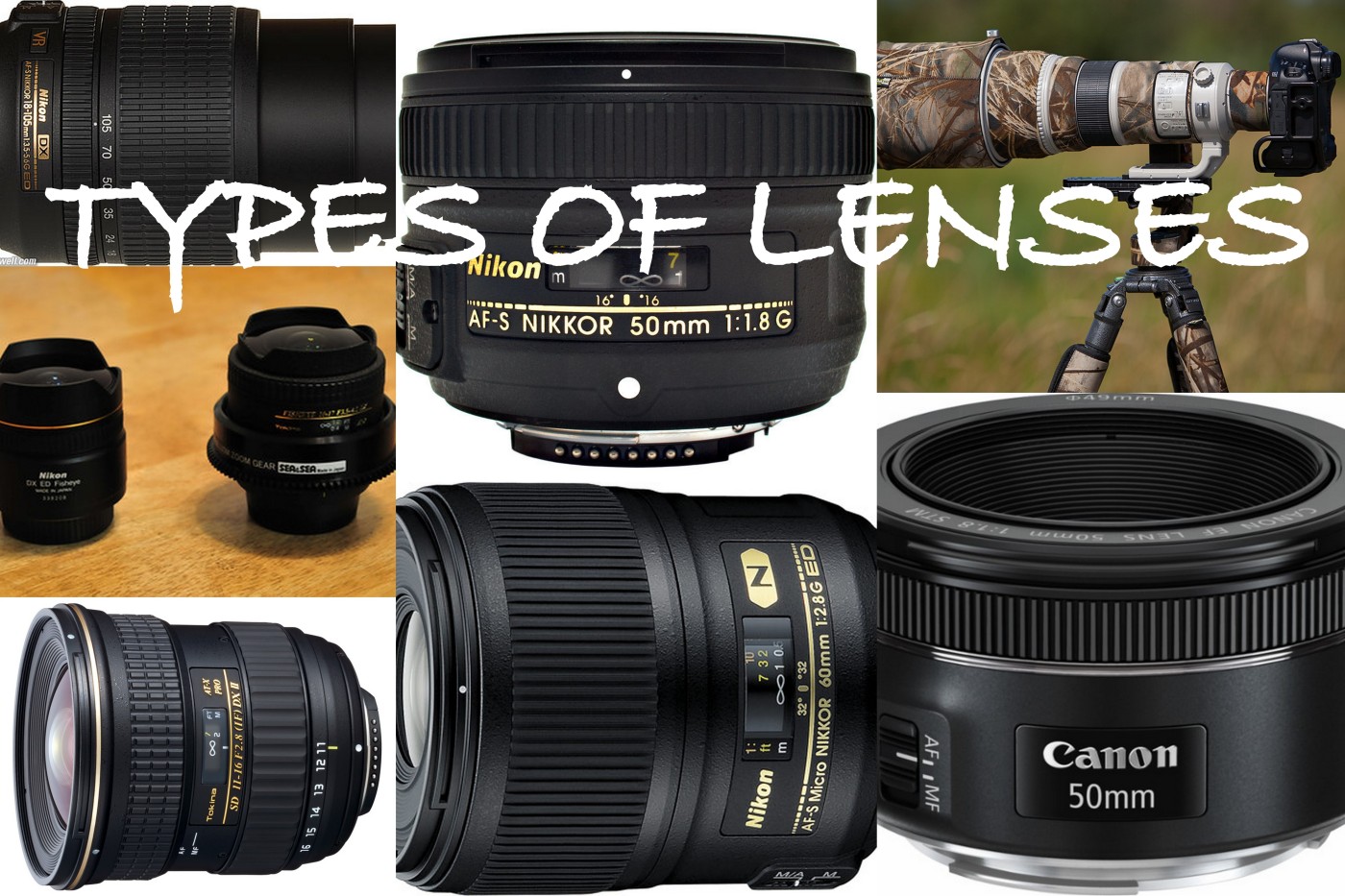 TYPES OF CAMERA LENSES AND THEIR FUNCTIONS – The Photo Teacher